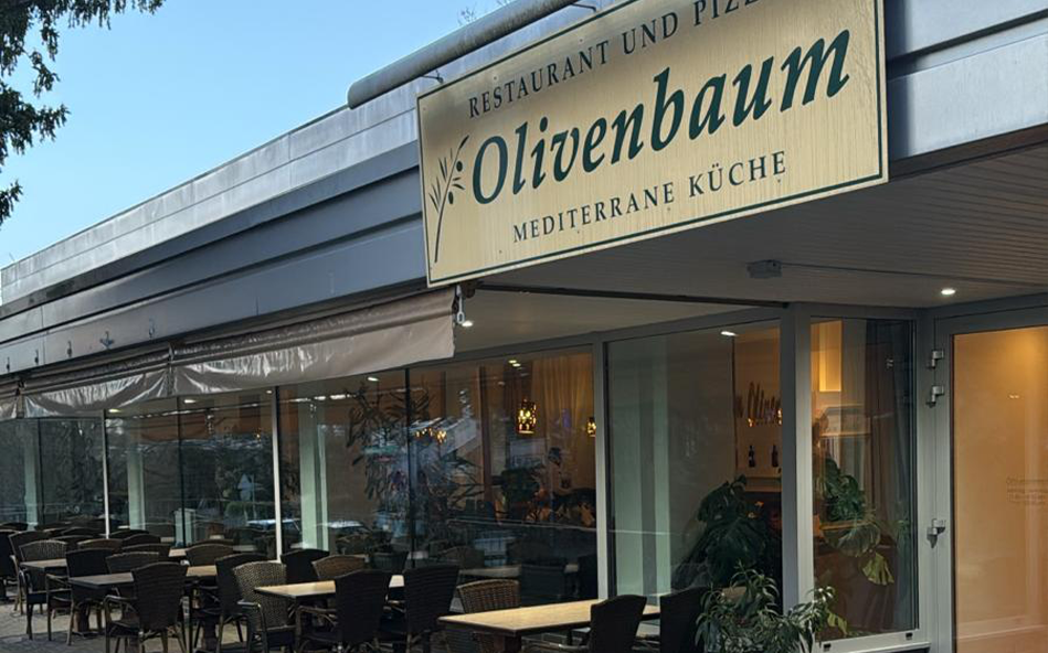 standort olivenbaum garten Der Olivenbaum Guide von Kauf bis Pflege